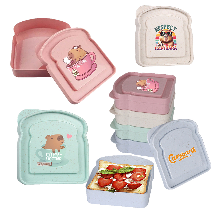 Food Snacks Packaging - Capybara Sandviç Gıda Saklama Kutusu Konteyner